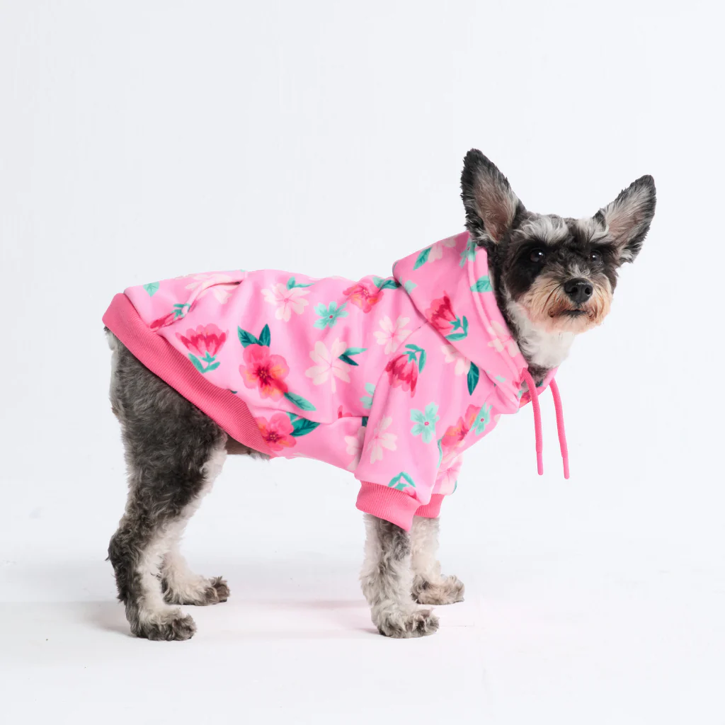Blossom Dog Hoodie - Pink - Image 2