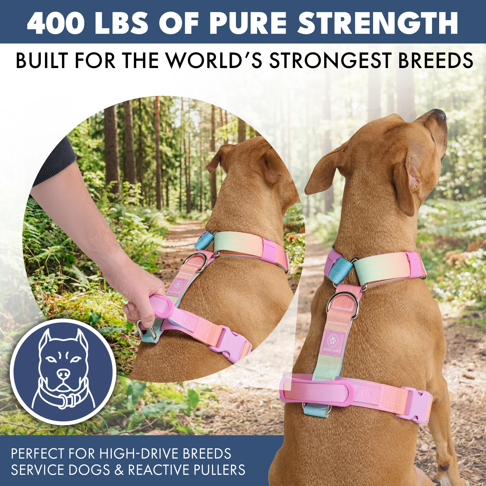 Comfort Control No-Pull Dog Harness - Pastel Icing - Image 4