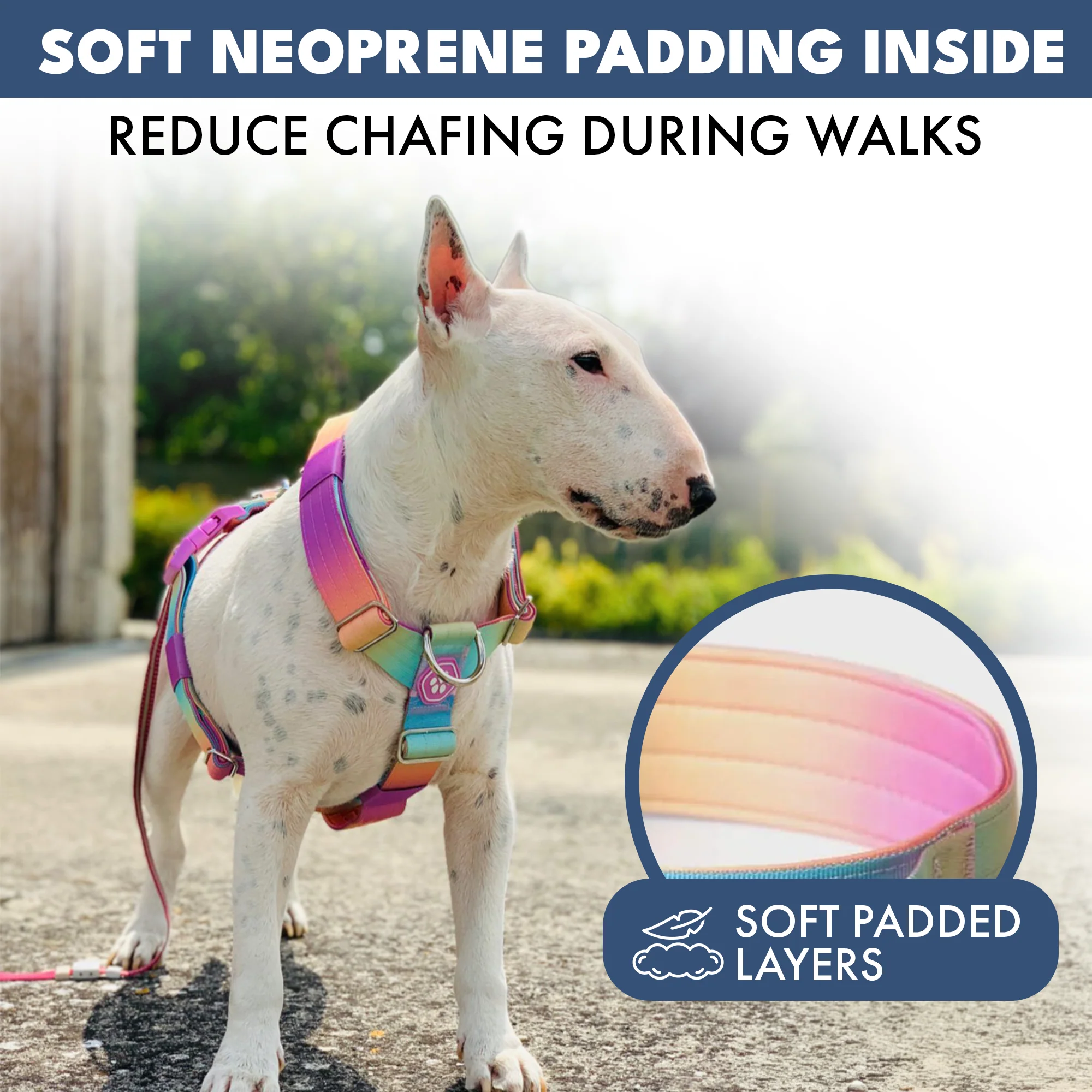 Comfort Control No-Pull Dog Harness - Pastel Icing - Image 5