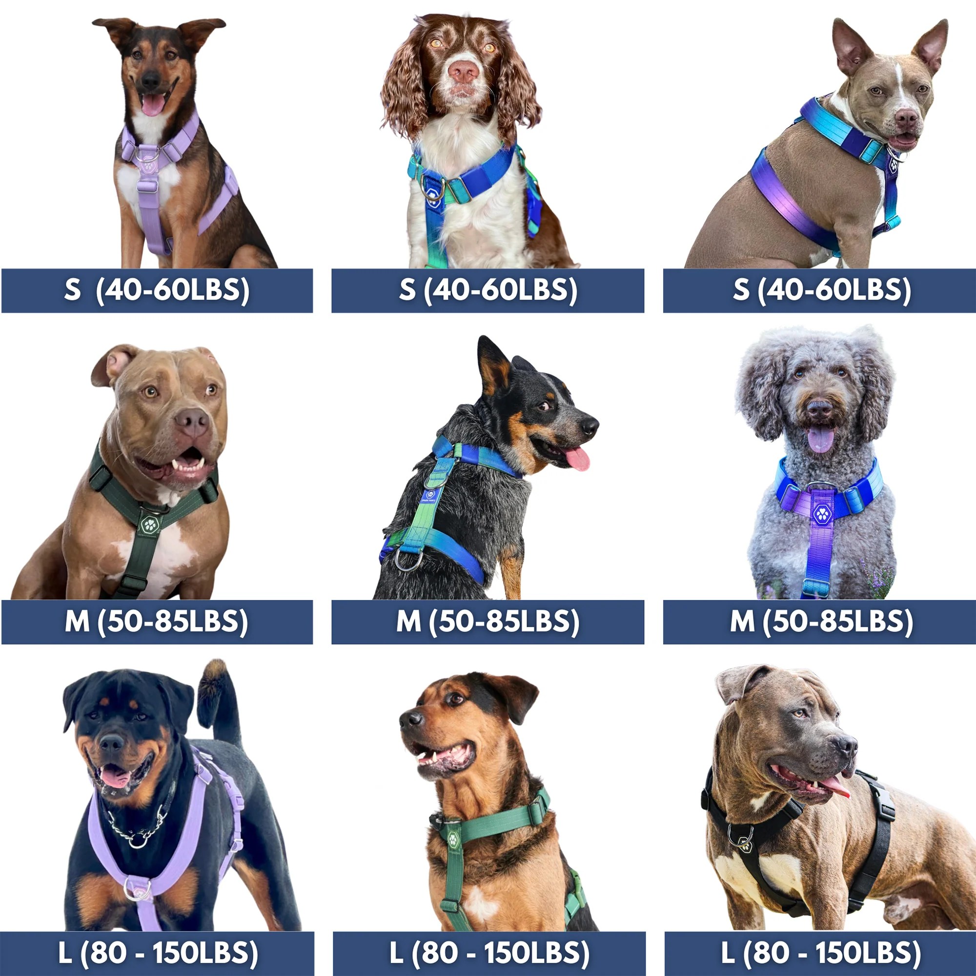 Comfort Control No-Pull Dog Harness - Lime Wave - Image 6