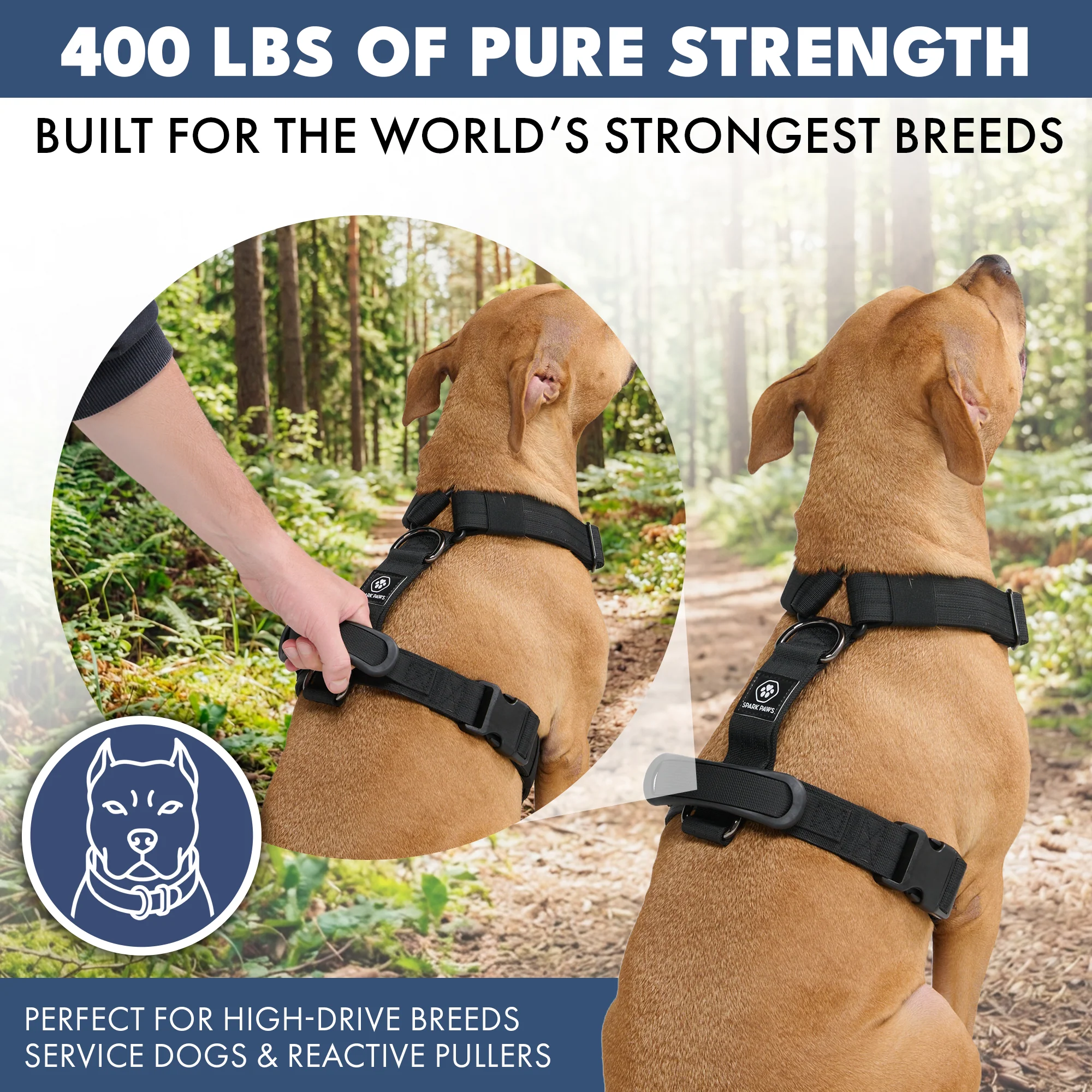 Comfort Control No-Pull Dog Harness Set - Black - Image 4