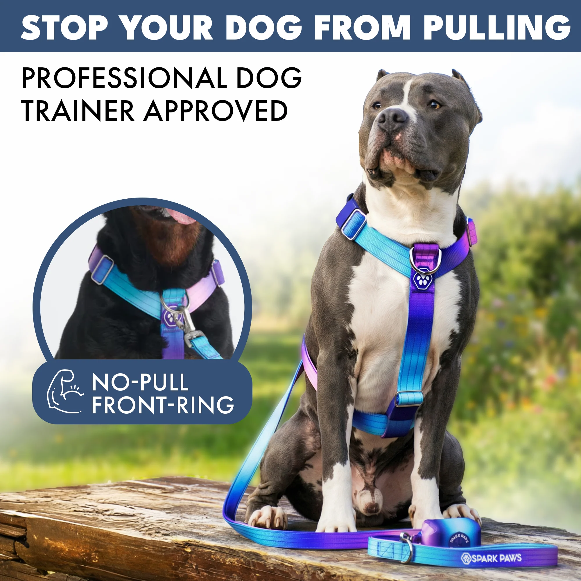 Comfort Control No-Pull Dog Harness - 90s Retro - Image 3