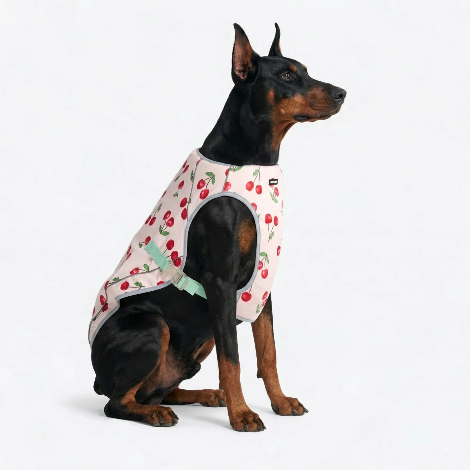 Chilltech™ Dog Cooling Vests - Image 70
