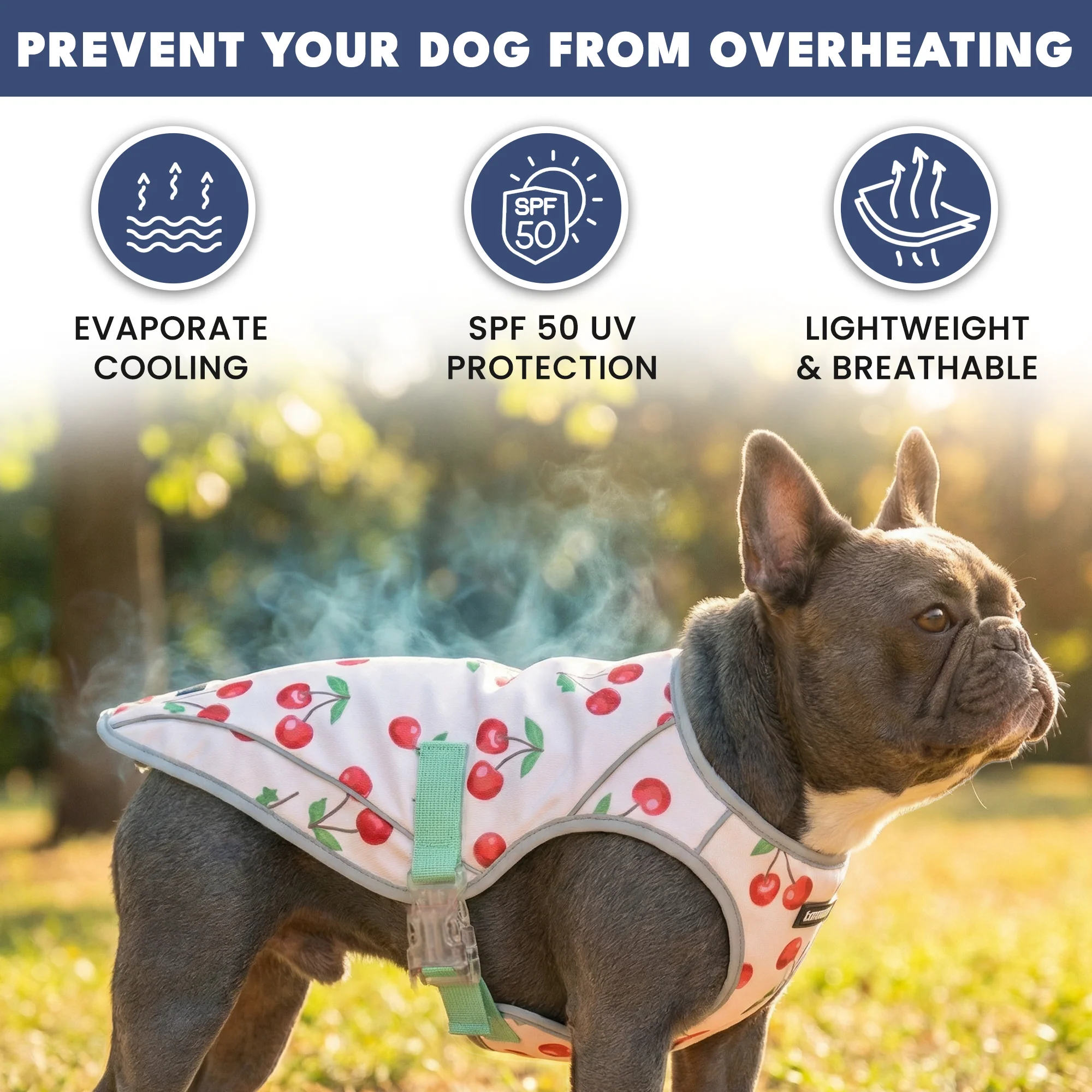 Chilltech™ Dog Cooling Vests - Image 71