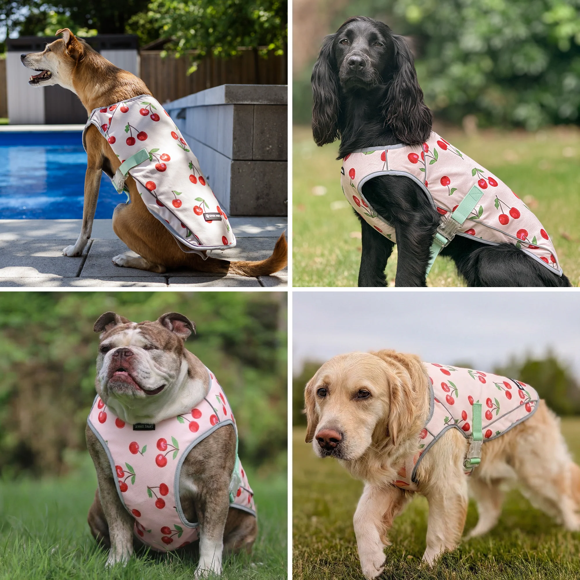 Chilltech™ Dog Cooling Vests - Image 75