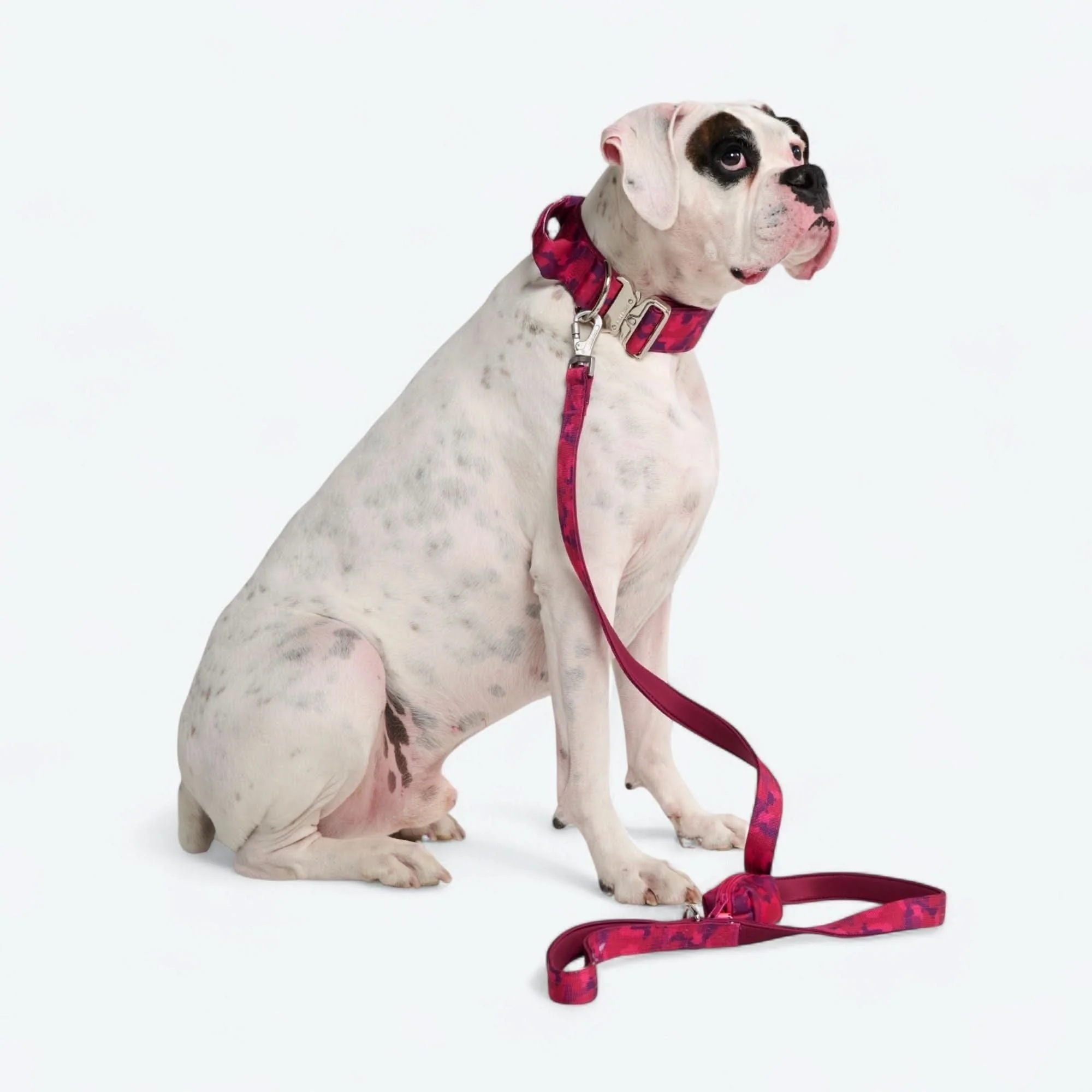 Leash and Poop Bag Holder Set - Fuchsia Camo - Image 2
