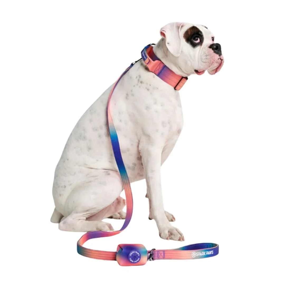 Leash and Poop Bag Holder Set - Kaleidoscope - Image 2