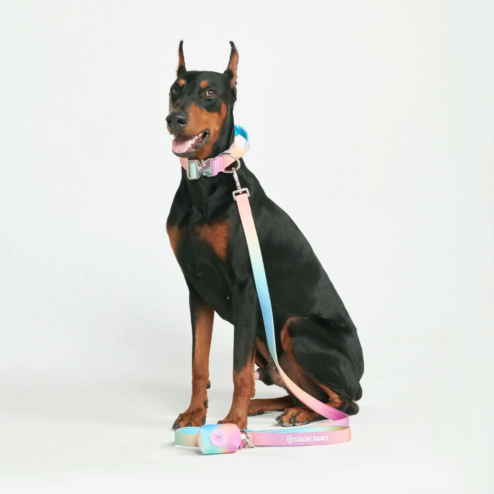 Leash and Poop Bag Holder Set - Pastel Icing - Image 2