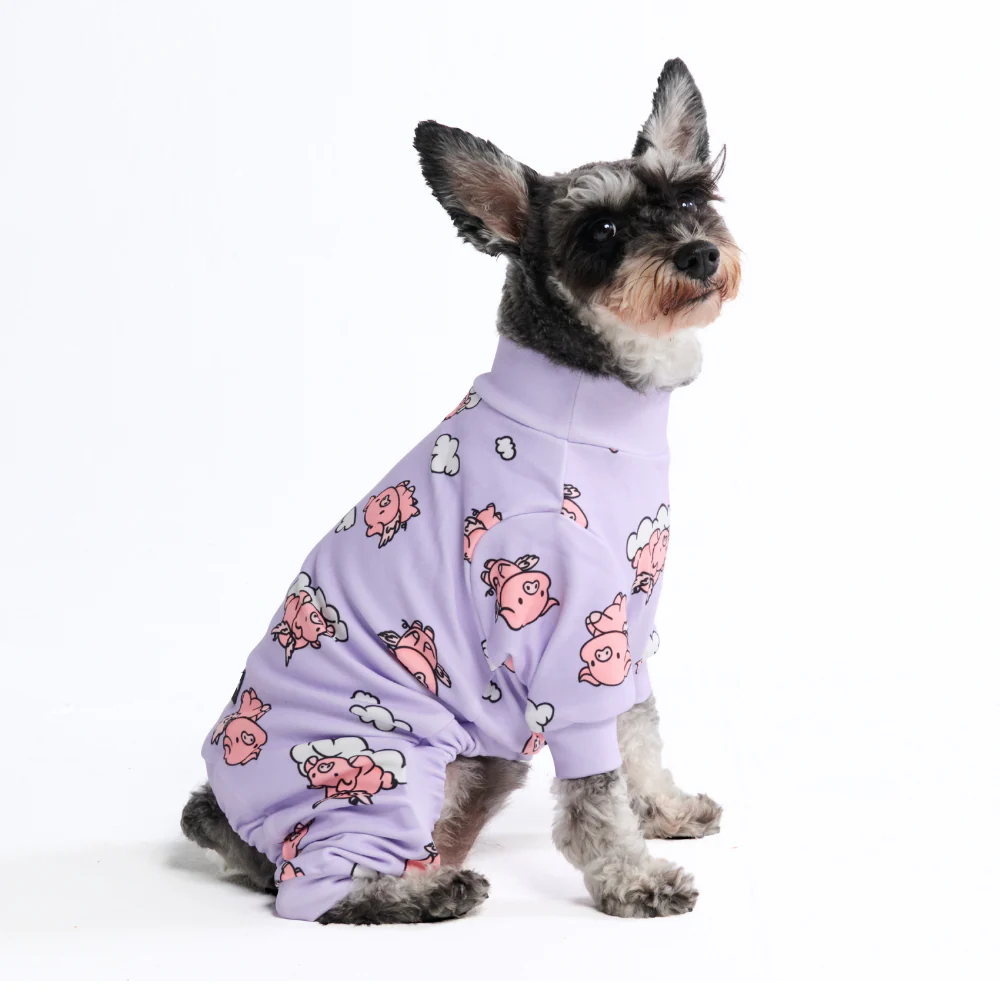 Dog Pajama - When Pigs Fly