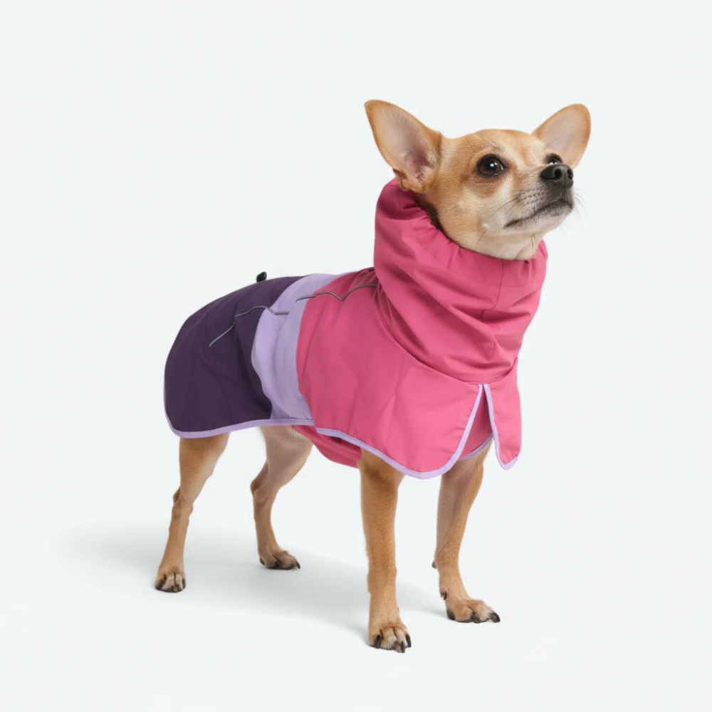 Breatheshield™ Dog Raincoats - Image 2
