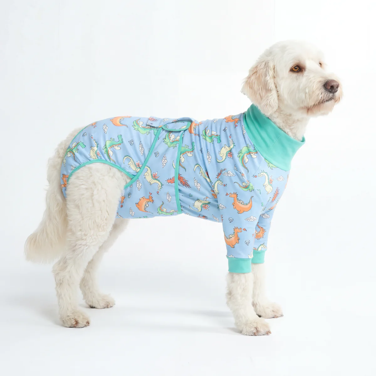 Dog Surgical Suit - Image 100