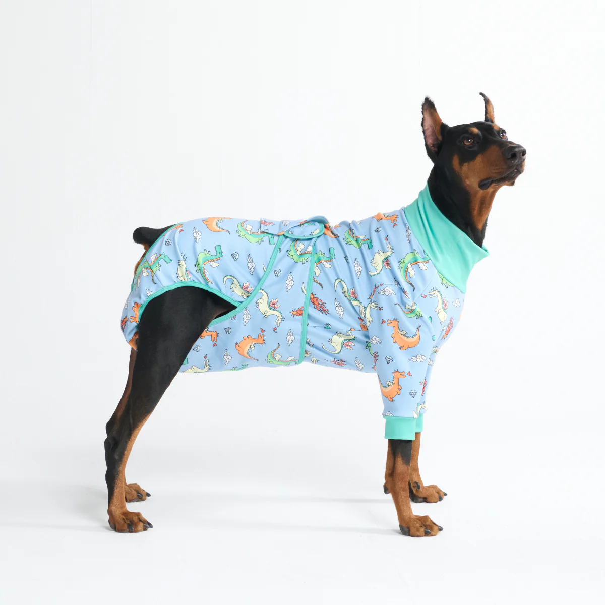 Dog Surgical Suit - Image 101