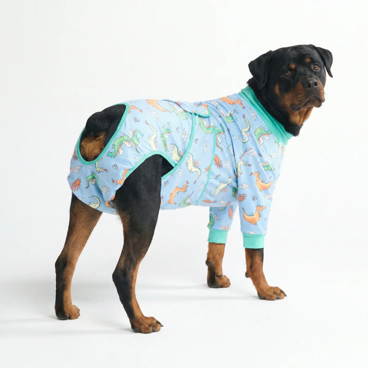Dog Surgical Suit - Image 102