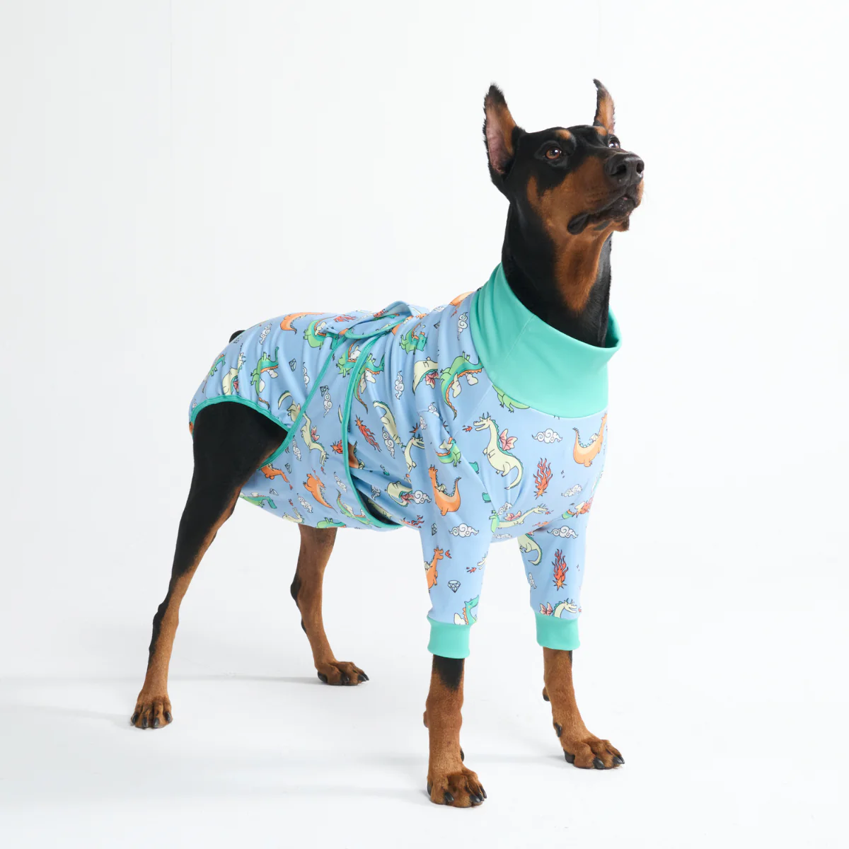 Dog Surgical Suit - Image 107