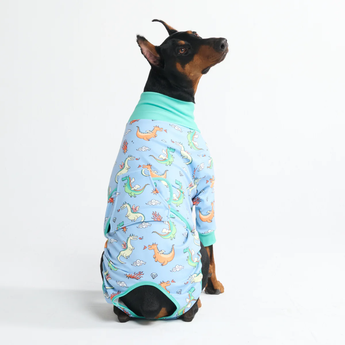 Dog Surgical Suit - Image 108