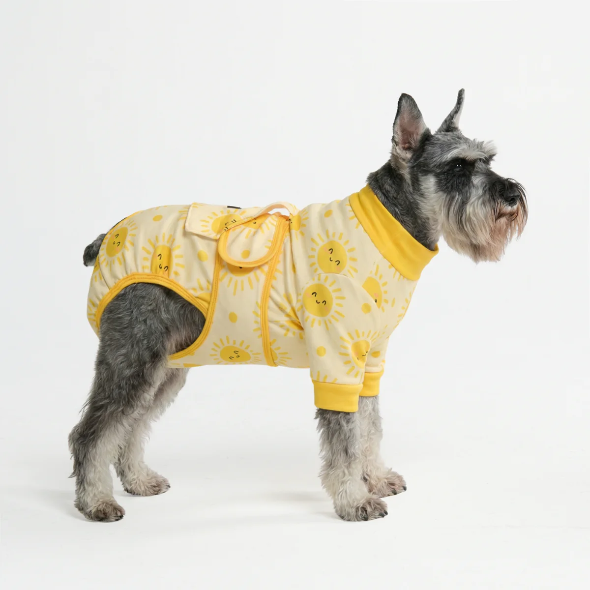 Dog Surgical Suit - Image 123