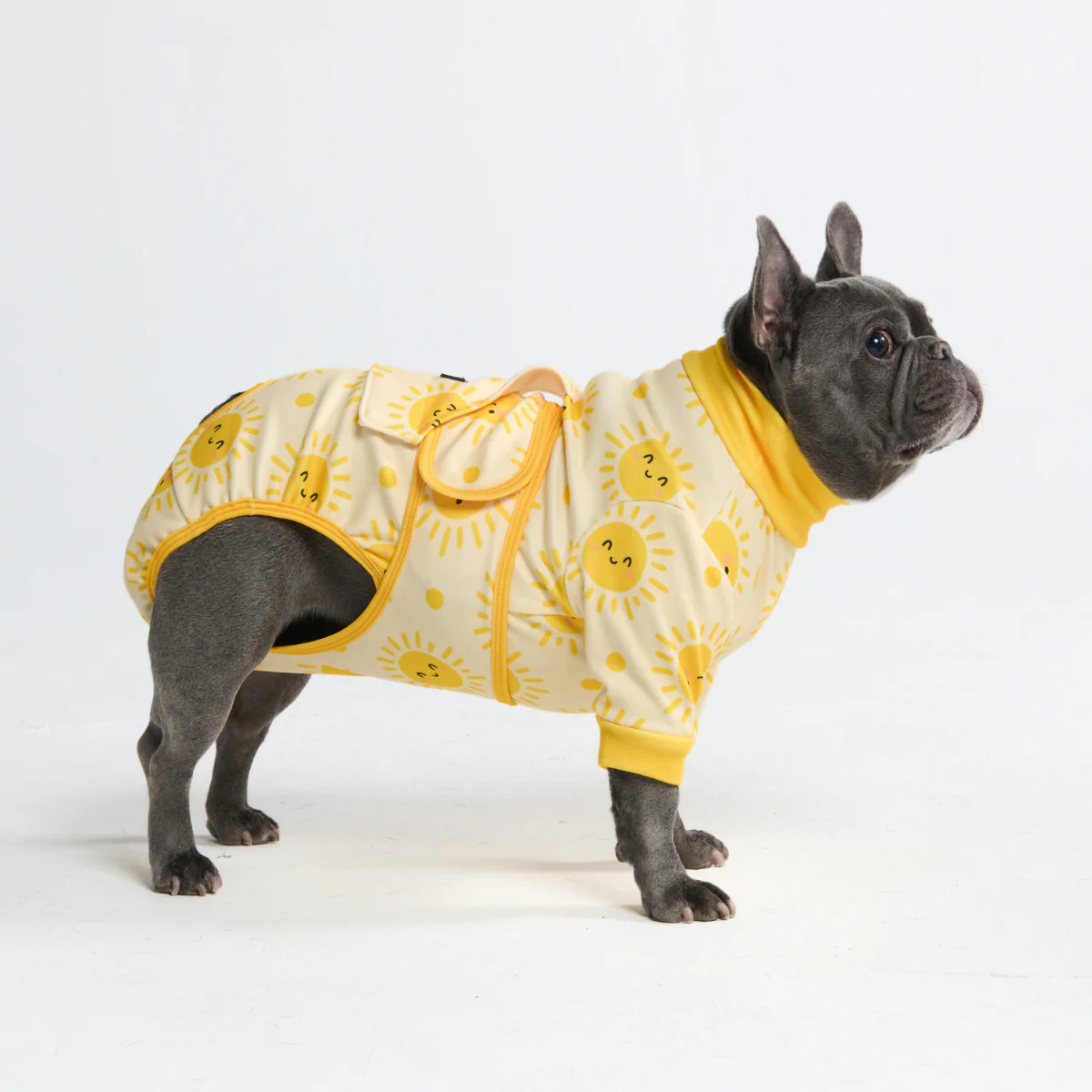 Dog Surgical Suit - Image 124