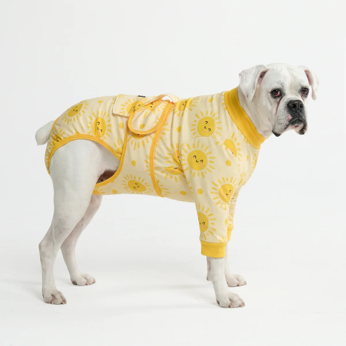 Dog Surgical Suit - Image 125