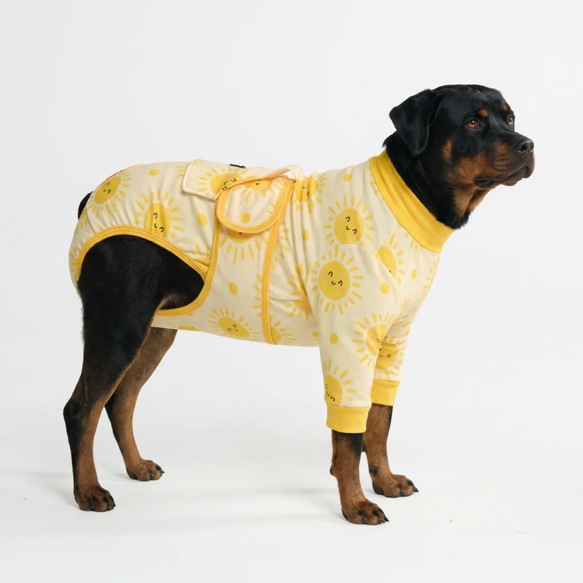 Dog Surgical Suit - Image 126