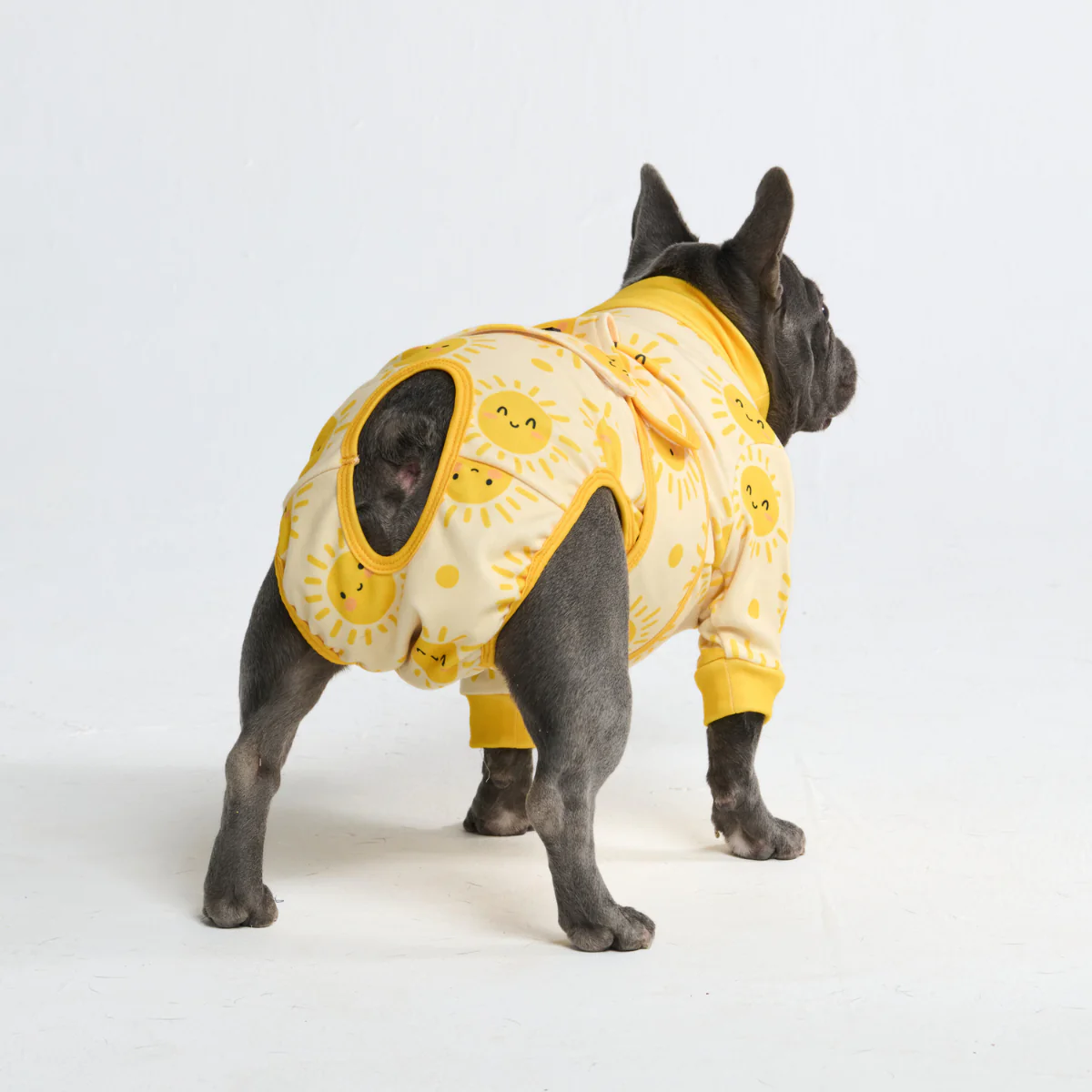 Dog Surgical Suit - Image 130