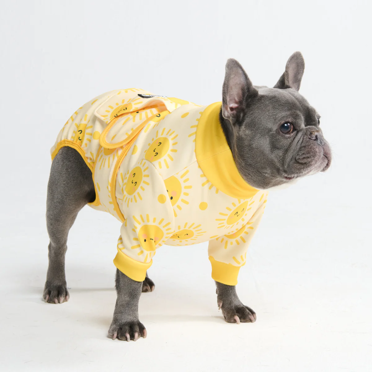 Dog Surgical Suit - Image 131