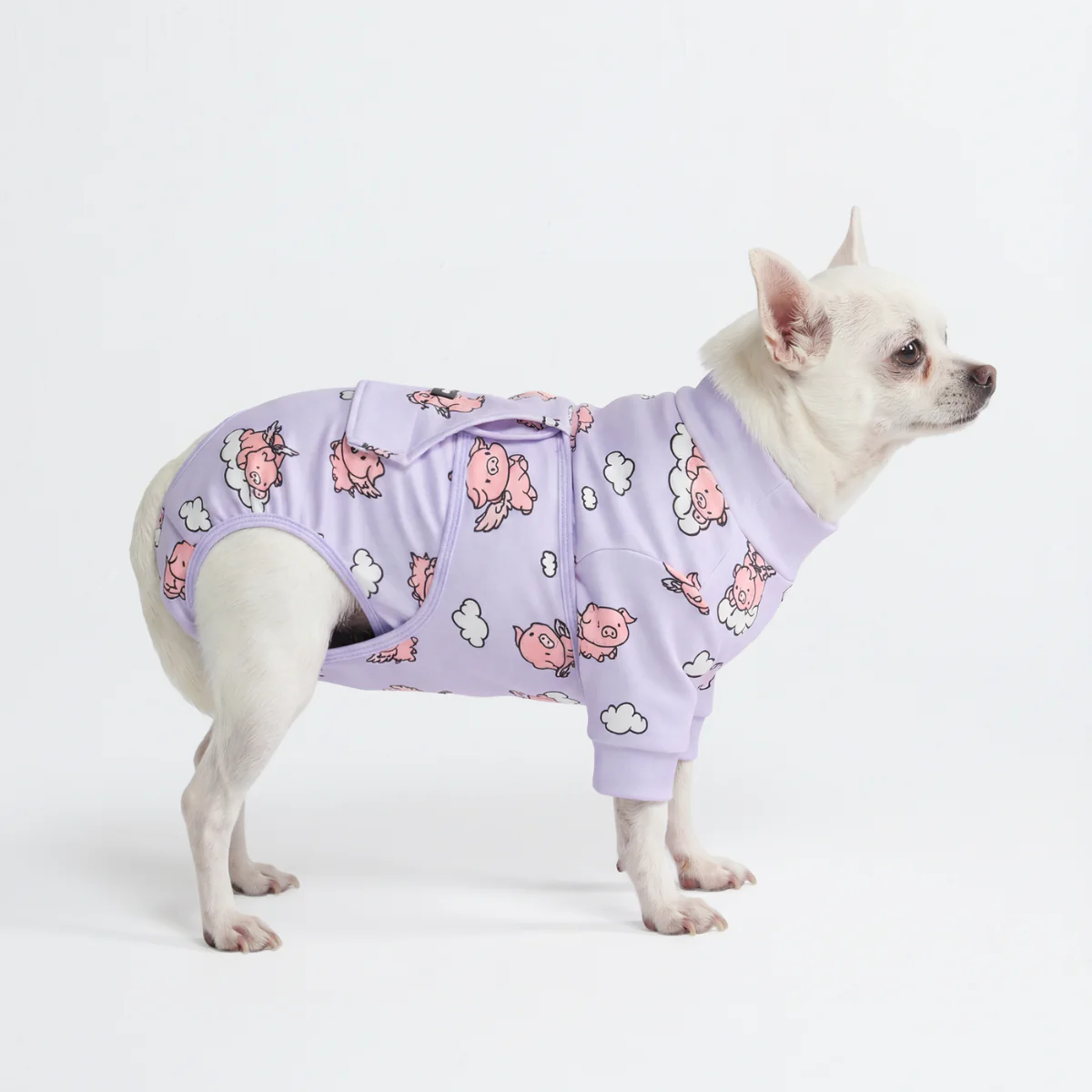 Dog Surgical Suit - Image 15