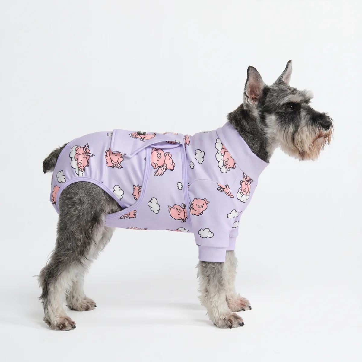 Dog Surgical Suit - Image 16