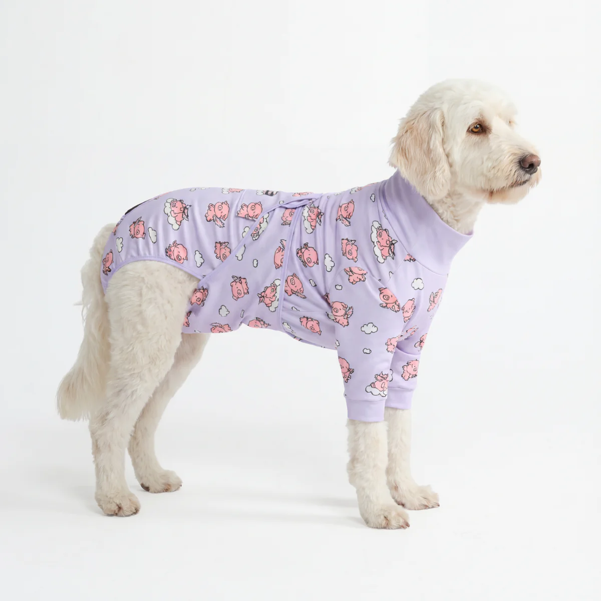 Dog Surgical Suit - Image 17