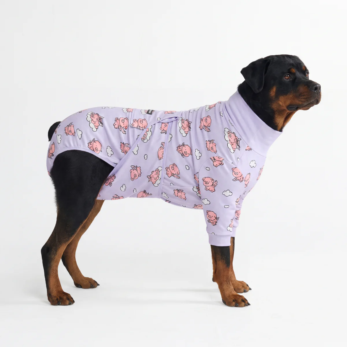 Dog Surgical Suit - Image 19