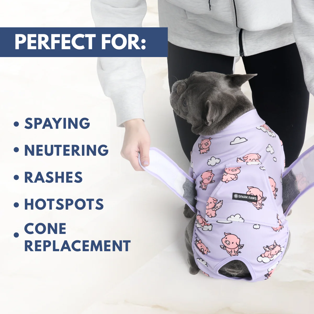 Dog Surgical Suit - Image 20