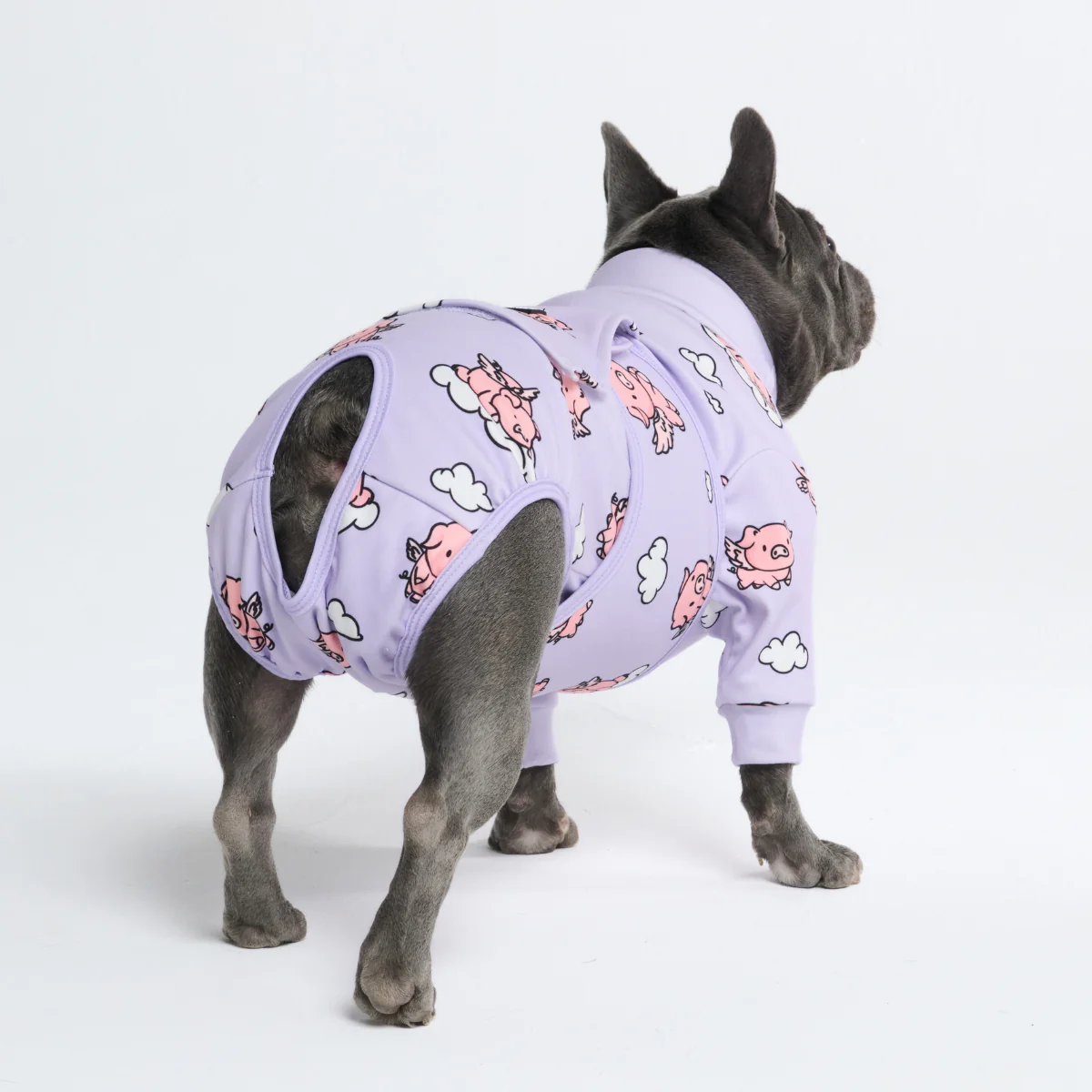 Dog Surgical Suit - Image 23