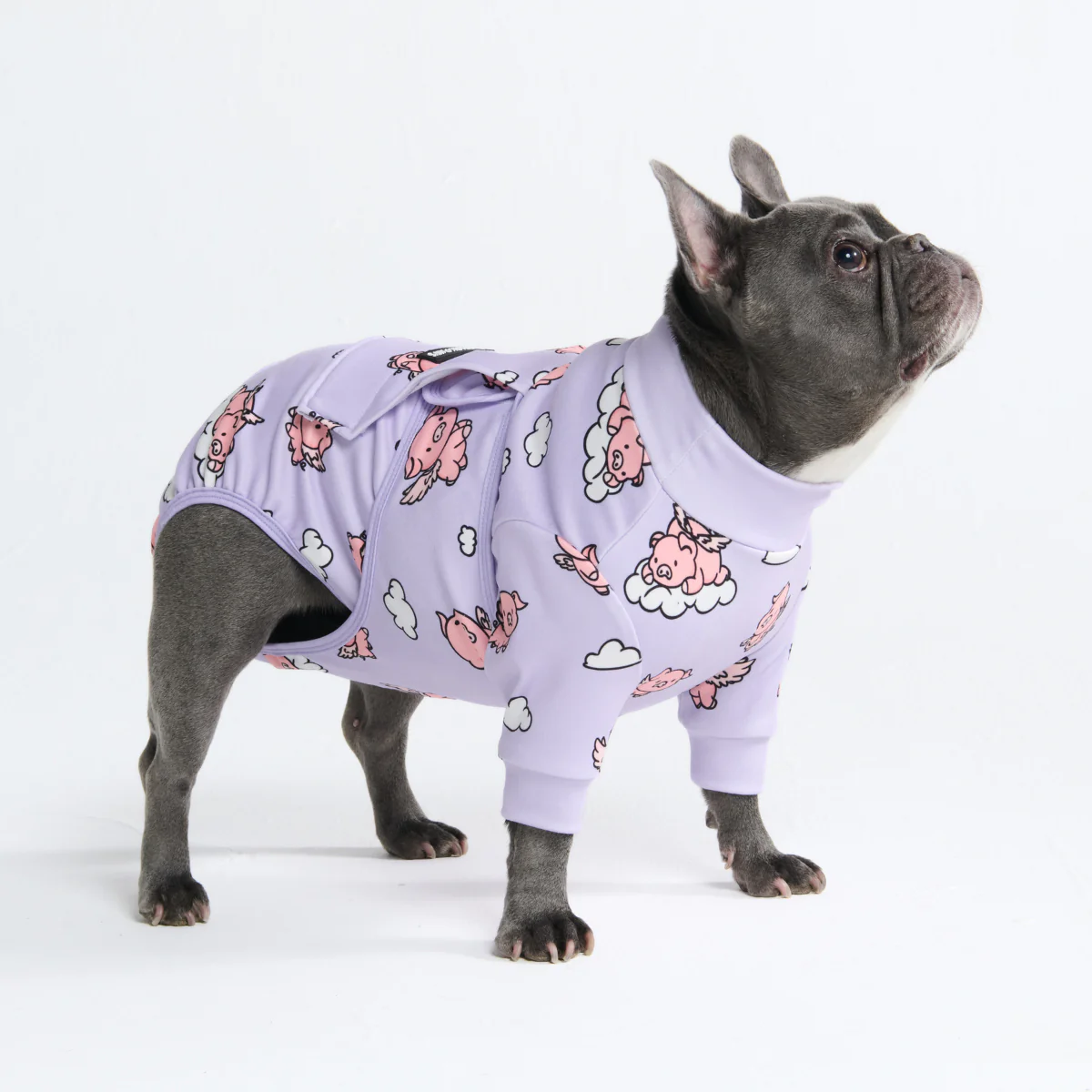 Dog Surgical Suit - Image 24