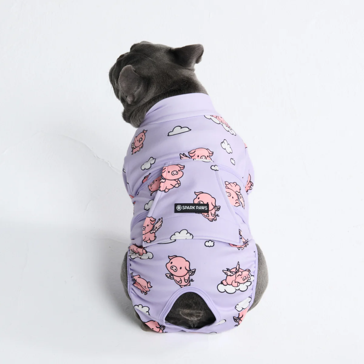Dog Surgical Suit - Image 25
