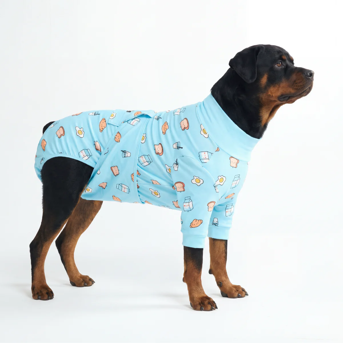 Dog Surgical Suit - Image 31