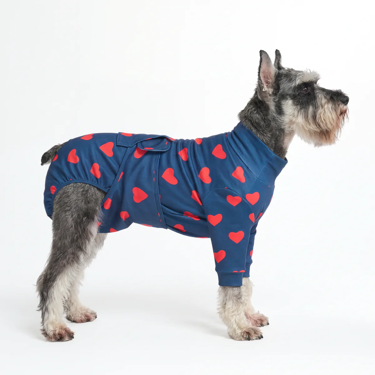 Dog Surgical Suit - Image 50