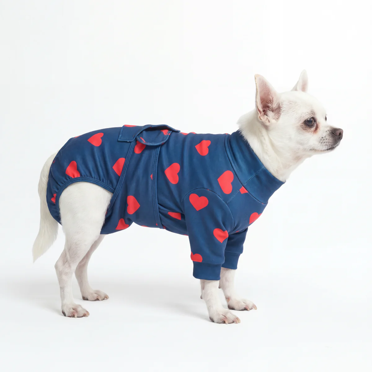 Dog Surgical Suit - Image 51