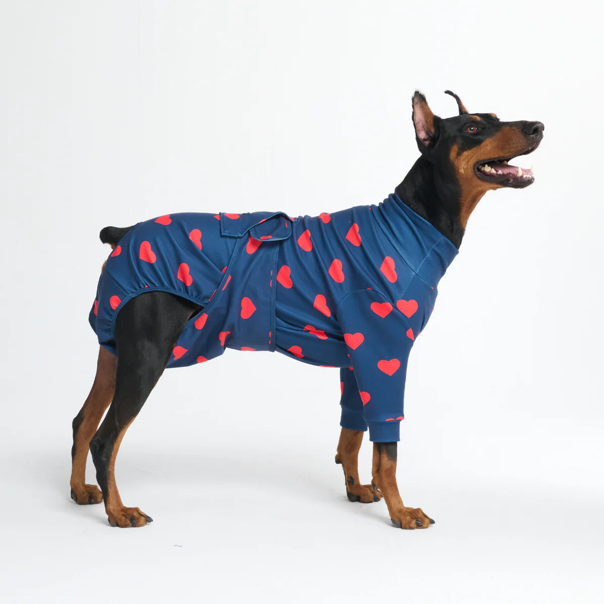 Dog Surgical Suit - Image 53