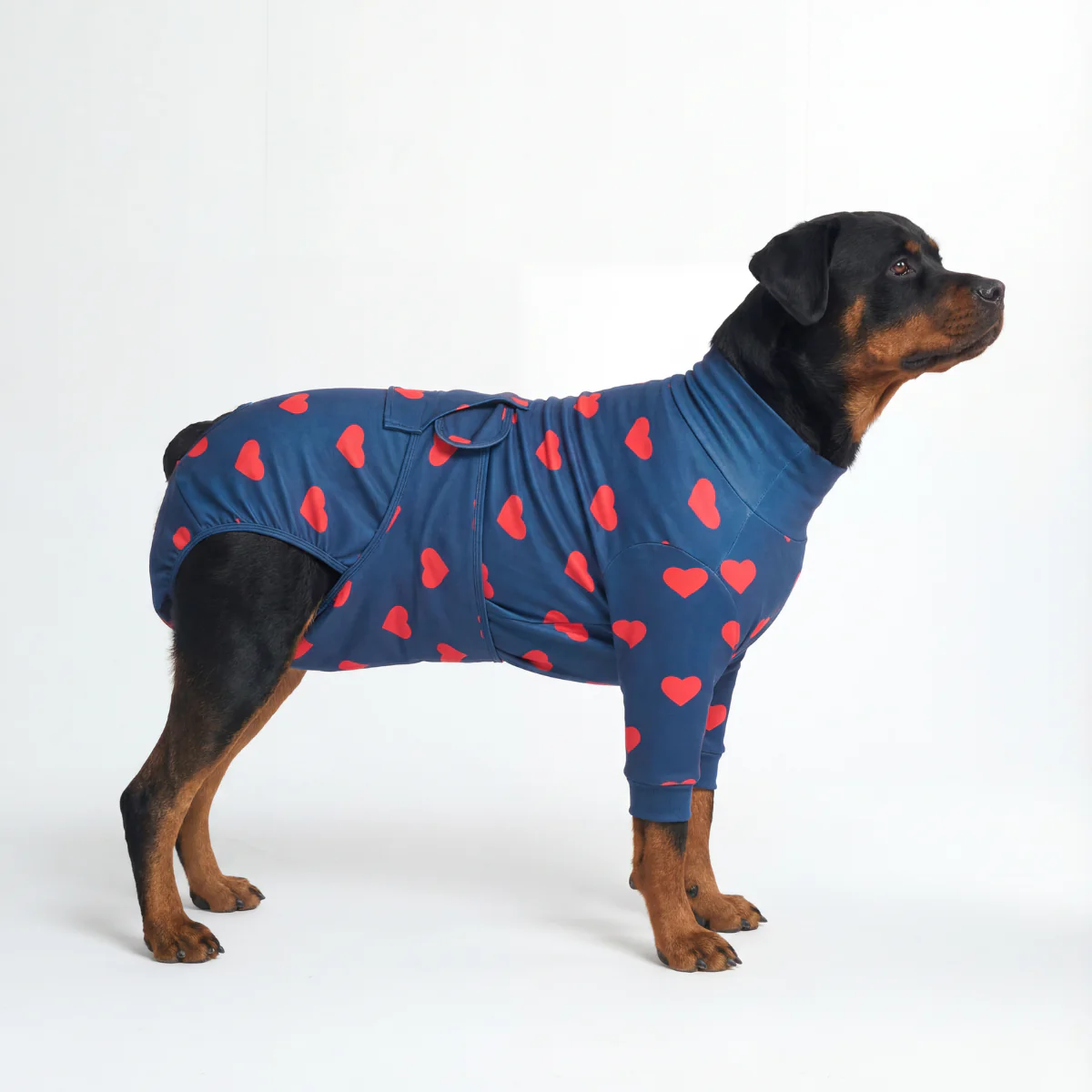 Dog Surgical Suit - Image 54