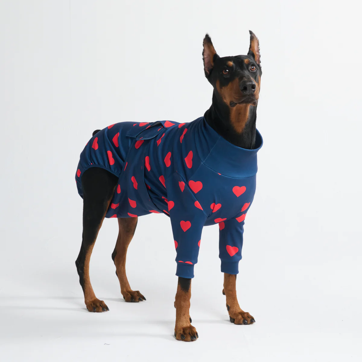 Dog Surgical Suit - Image 59