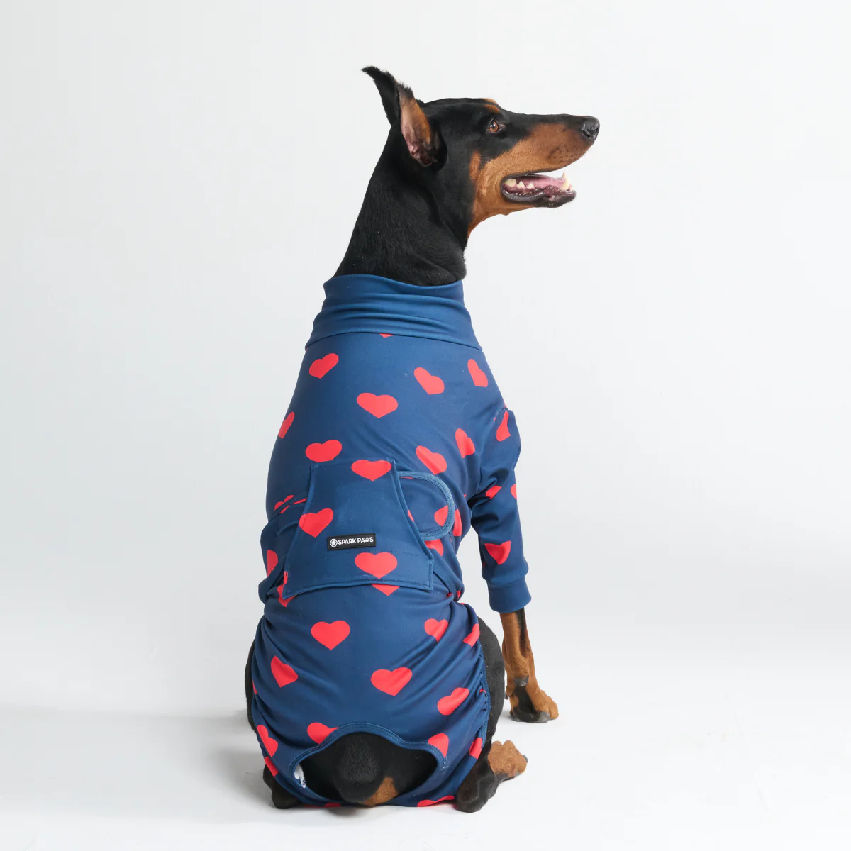 Dog Surgical Suit - Image 60