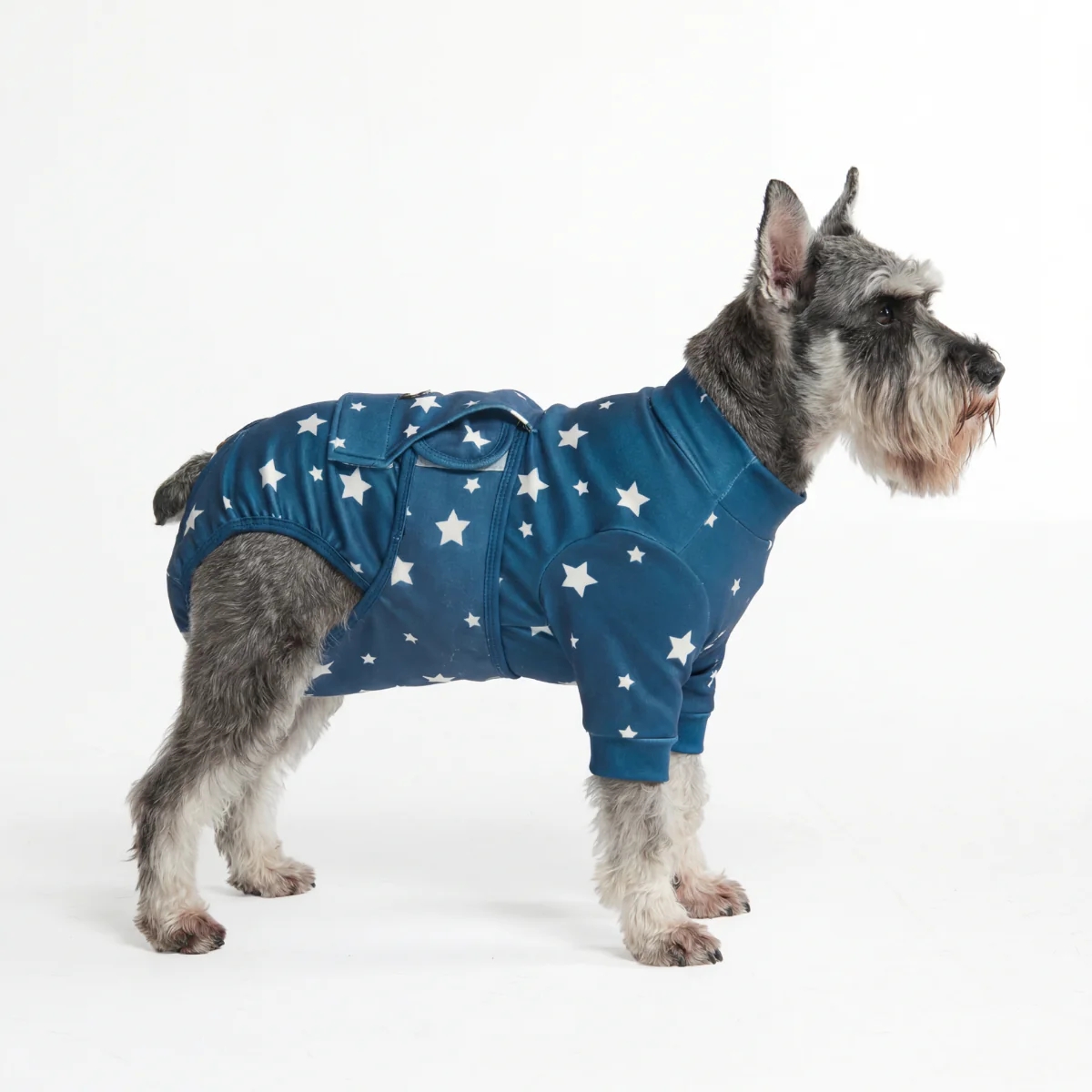 Dog Surgical Suit - Image 63