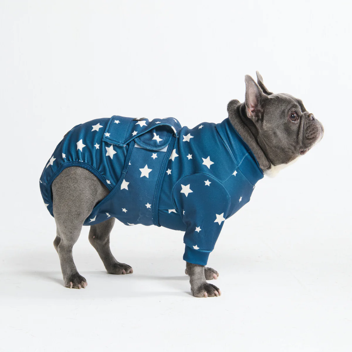 Dog Surgical Suit - Image 64