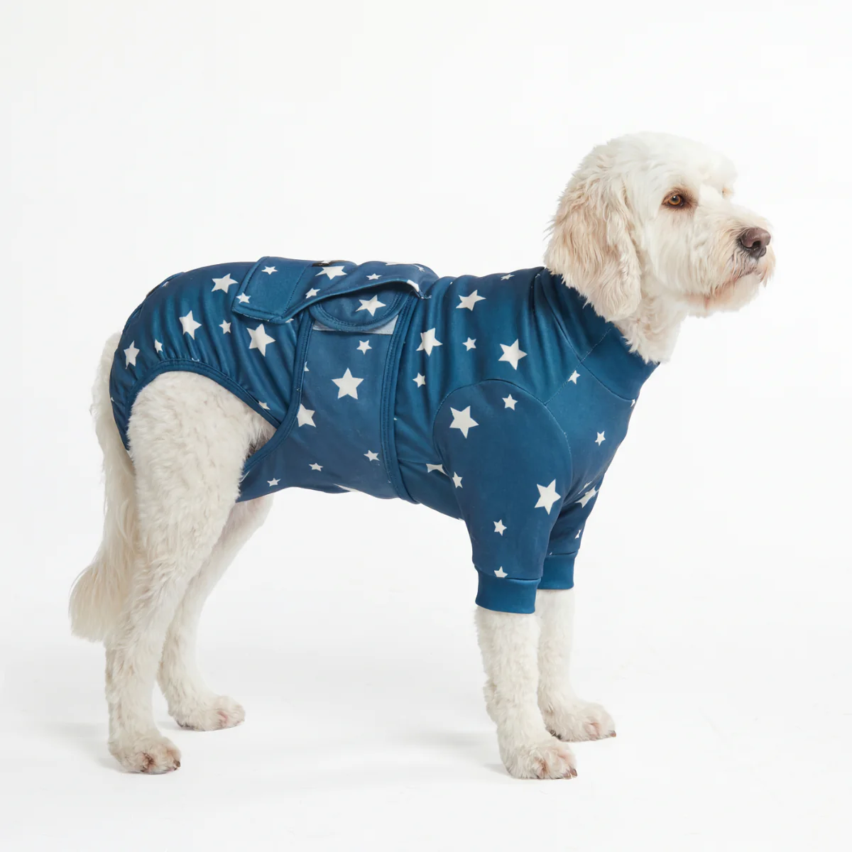 Dog Surgical Suit - Image 65