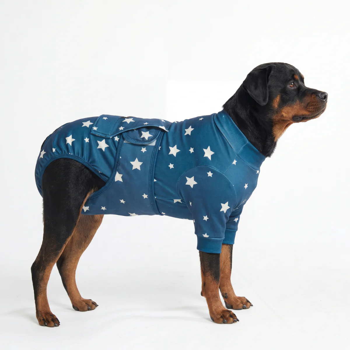 Dog Surgical Suit - Image 66