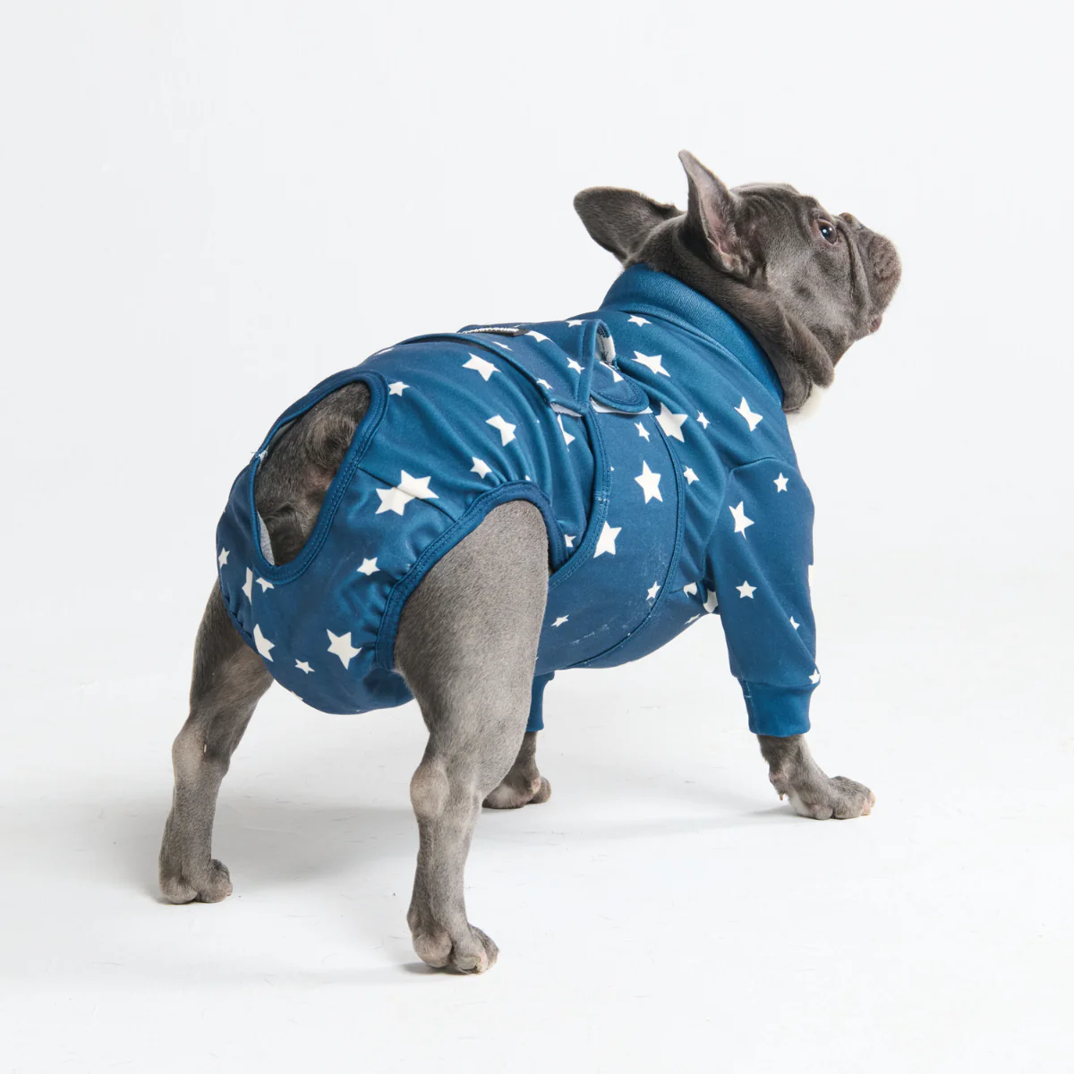Dog Surgical Suit - Image 70