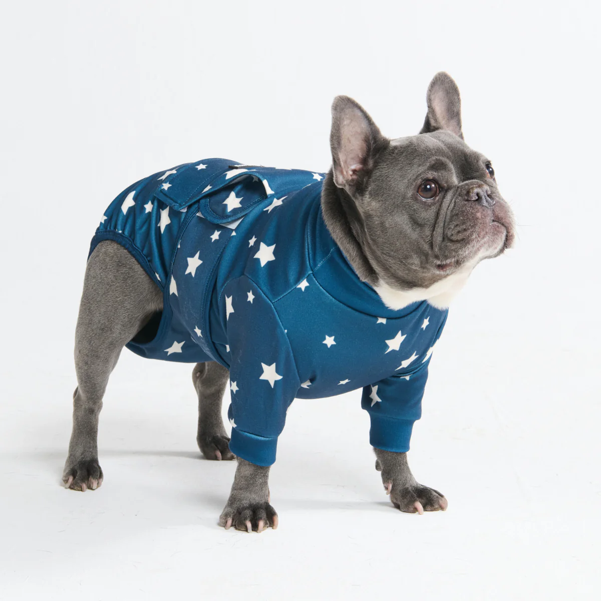 Dog Surgical Suit - Image 71