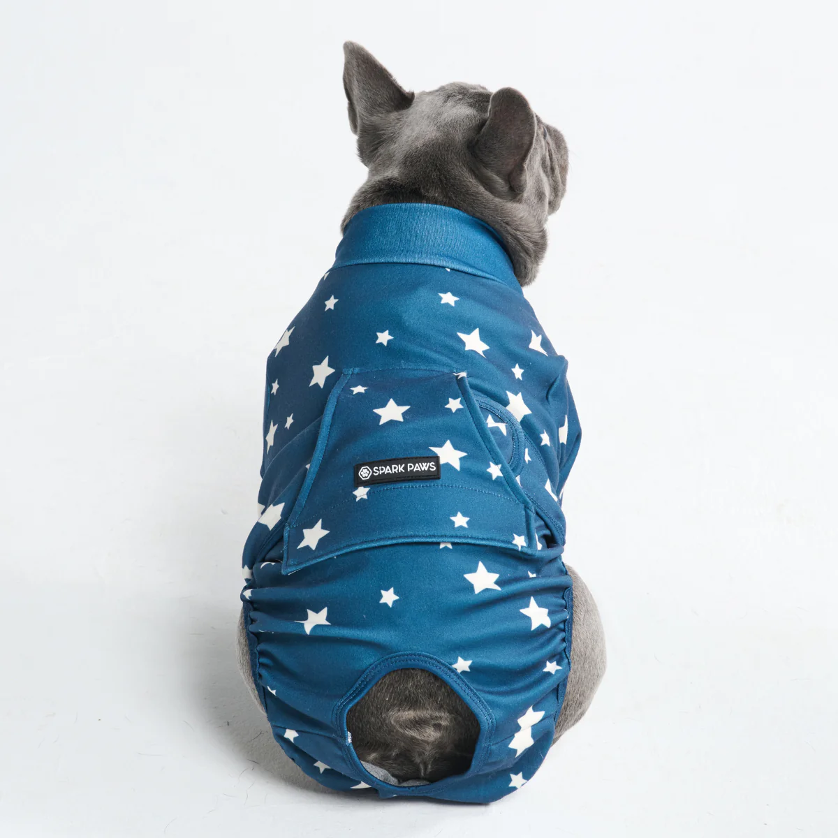 Dog Surgical Suit - Image 72