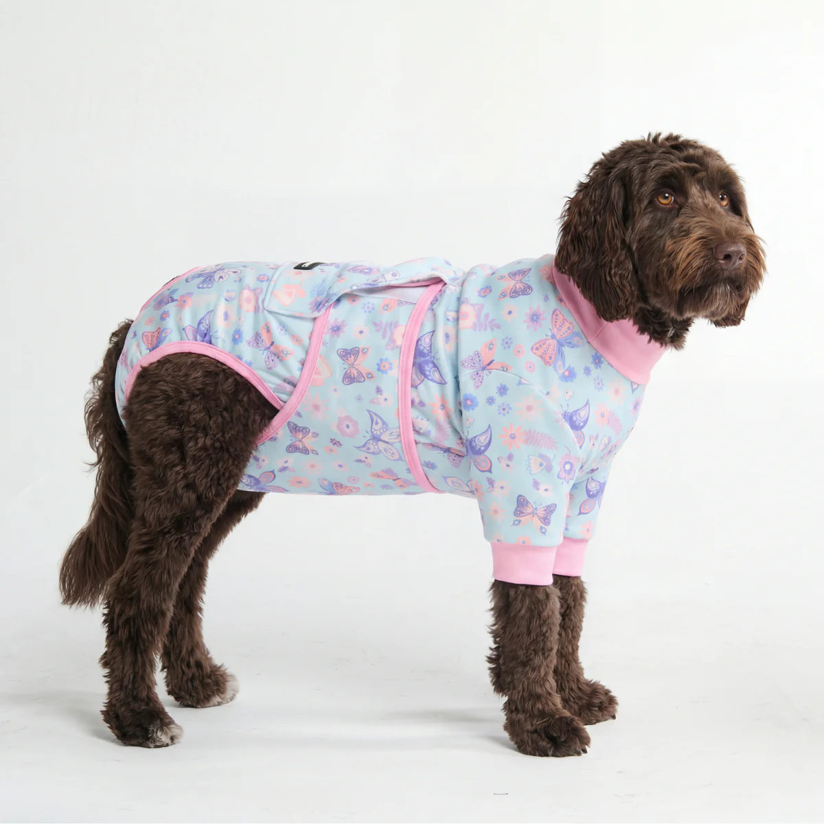 Dog Surgical Suit - Image 86