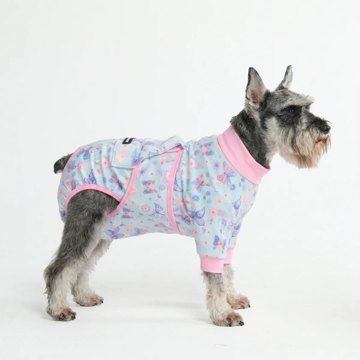 Dog Surgical Suit - Image 87