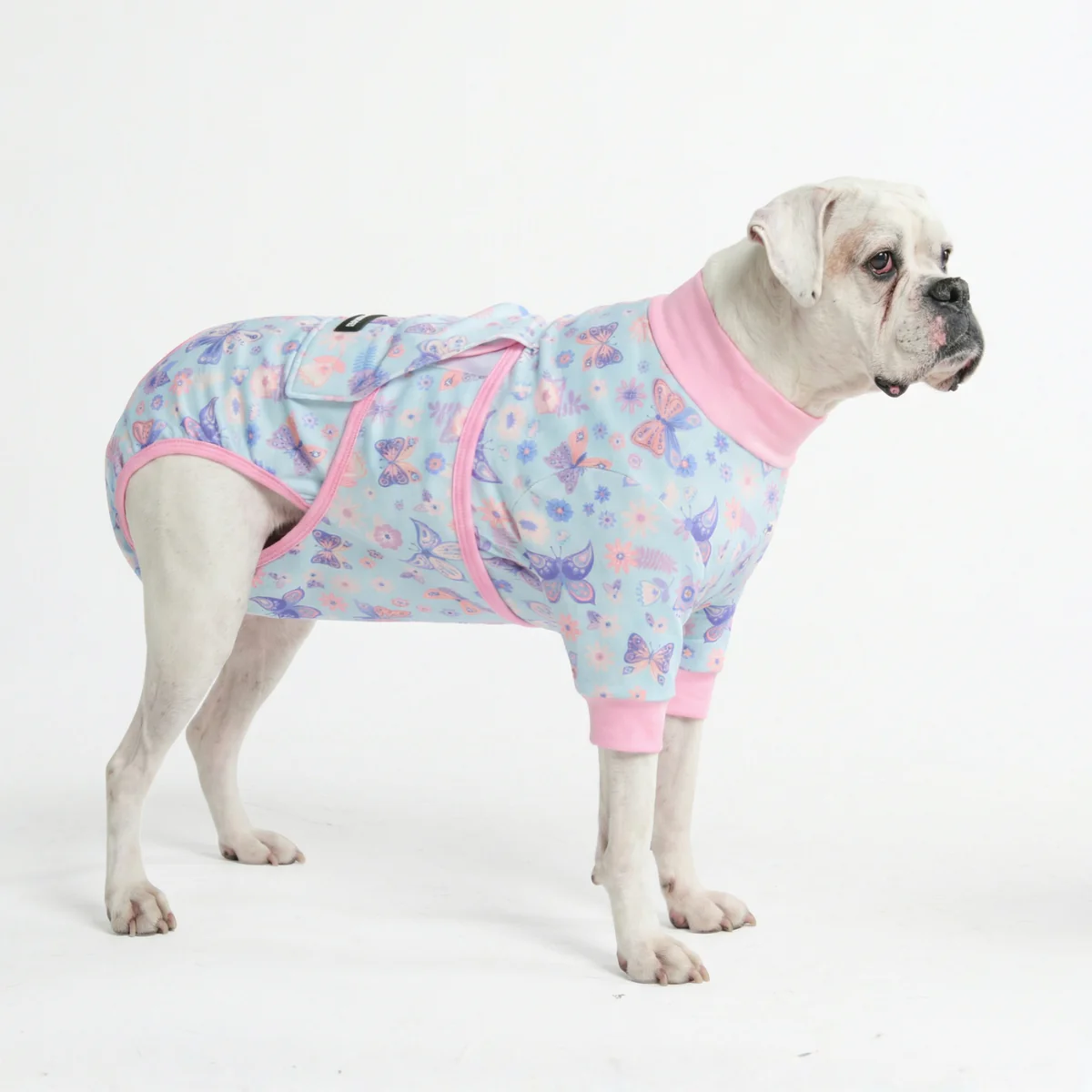 Dog Surgical Suit - Image 89